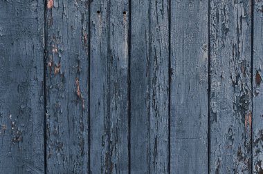 Eski usul eski ahşap. Yüzey tasarımı. Beyaz arka planda Rustik yakın plan. Ahşap desen soyut renk arkaplanı.