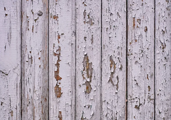 Eski usul eski ahşap. Yüzey tasarımı. Beyaz arka planda Rustik yakın plan. Ahşap desen soyut renk arkaplanı.