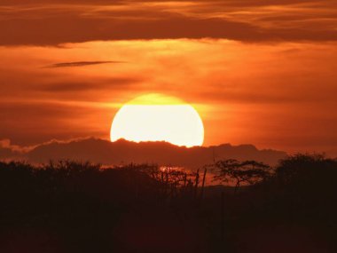 LA GUAJIRA 'NIN KOLOMBİYA CARIBAN' DA GÜZEL BİRLİĞİNDE GERÇEKLİ BİR GÖRÜNÜLDÜ.