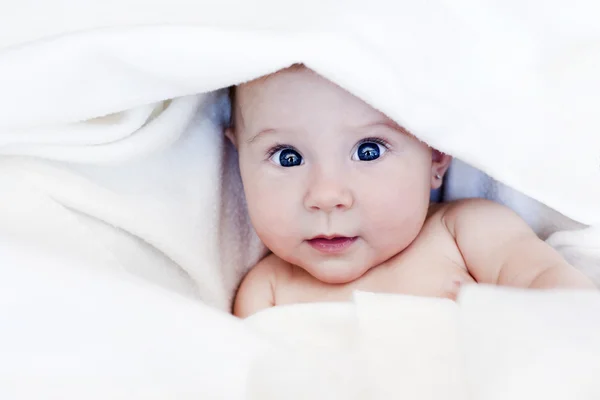 Little baby Stock Image