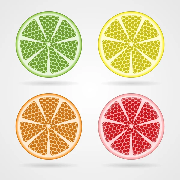 Set of citrus slices with shadows — Stock Vector