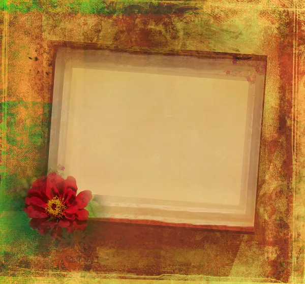 Grunge Frame For Congratulation With Flower — Stock Photo, Image