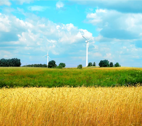 Prado verde com turbinas eólicas gerando eletricidade — Fotografia de Stock