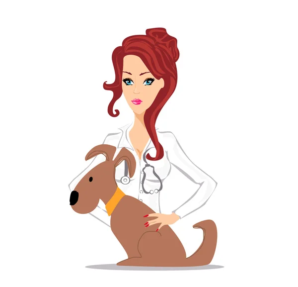 Veterinary animal doctor — Stock Vector