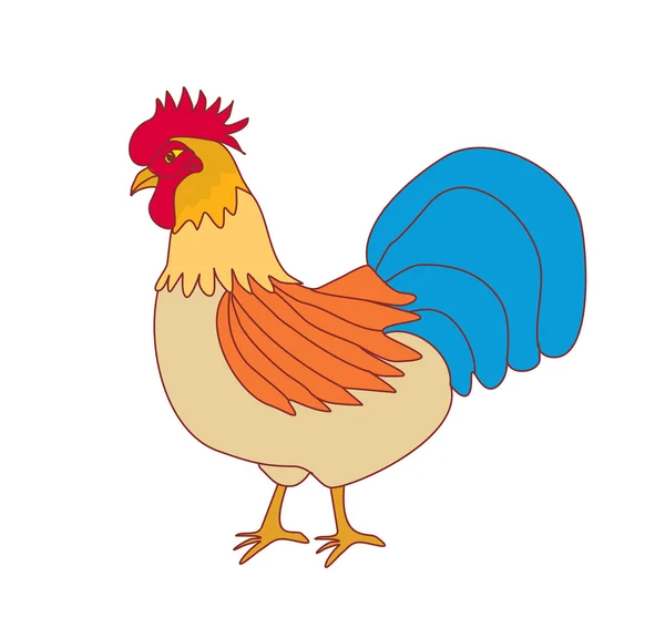 Color cock — Stock Vector