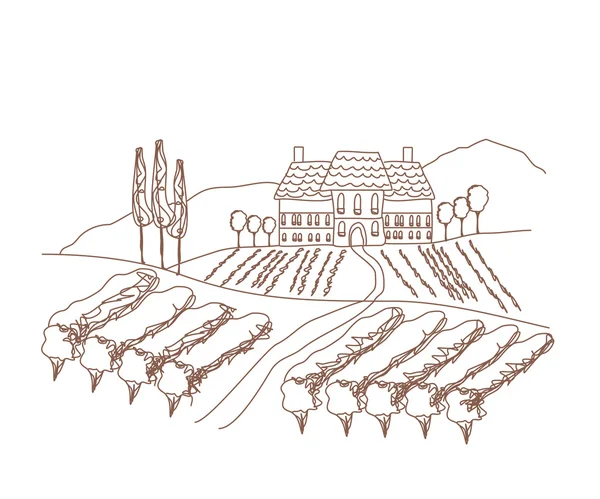 Vektoriell illustration av vingården — Stock vektor