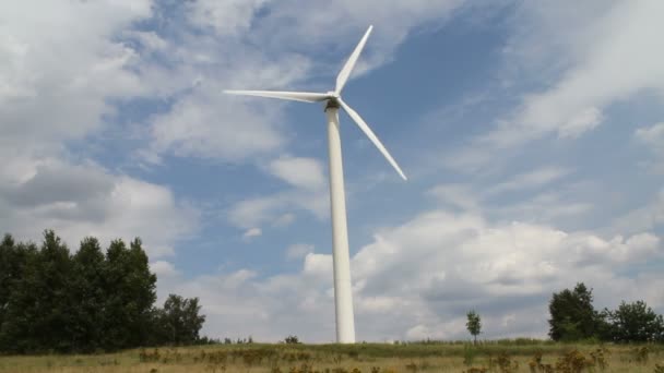 Windmill in nature — Stock Video