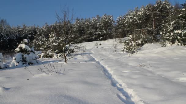 Hombre y perro corriendo en la nieve — Vídeos de Stock