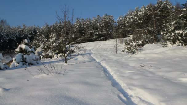 Hombre y perro corriendo en la nieve — Vídeo de stock