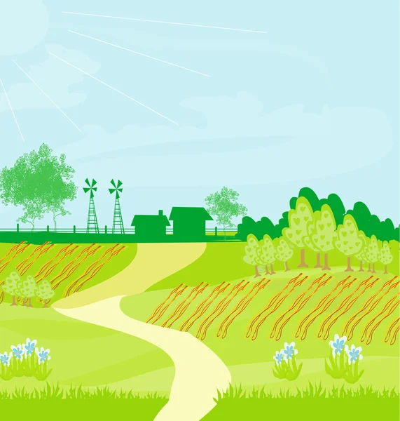 Eko tarım - manzaralar