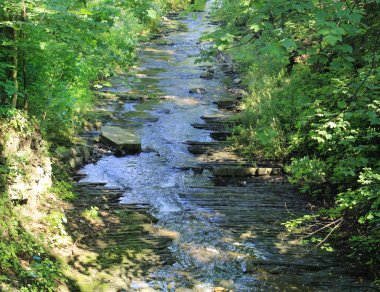 Orman brook yosunlu kayalar üzerinde çalışan