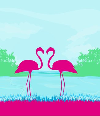 Flamingo çifti vahşi doğa manzarasında