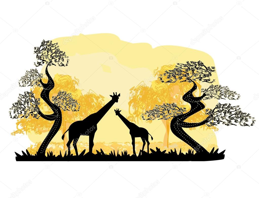Two giraffes silhouette, with jungle landscape