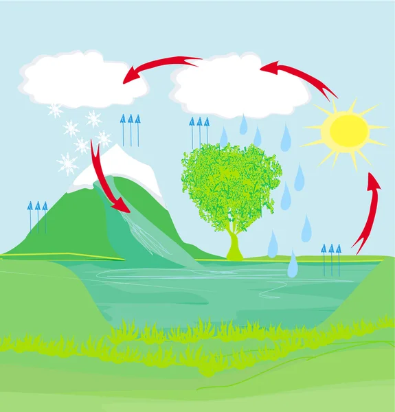 Ciclo de água no ambiente da natureza — Vetor de Stock