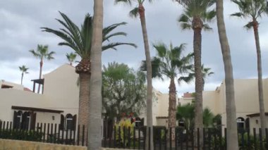 bir evleri çevreleyen egzotik bitkiler