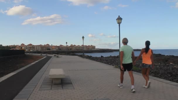 Couple walking by the ocean — Stock Video