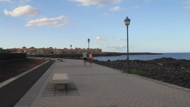 Couple walking by the ocean — Stock Video