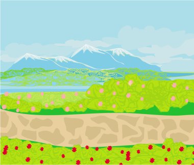 Dağlardaki vektör manzara taş yolu