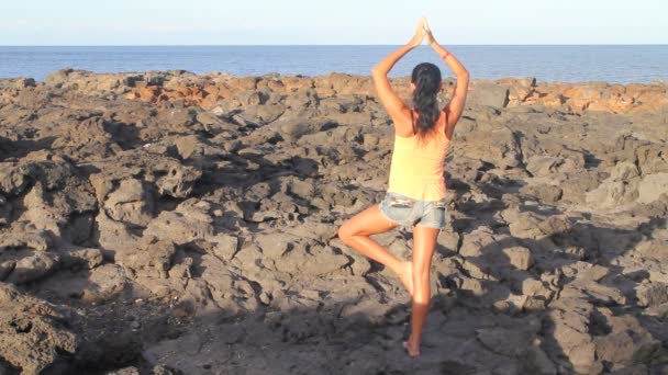 Mujer de yoga en una roca de playa — Vídeo de stock