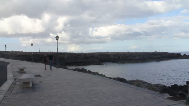 海のそばを歩いているカップル — ストック動画