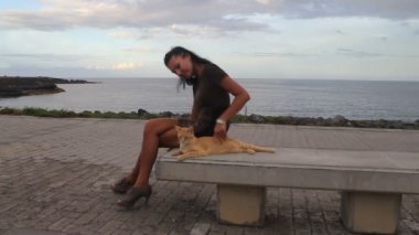 zencefil kedi üzerinde okyanus ladndscape okşayarak kadın