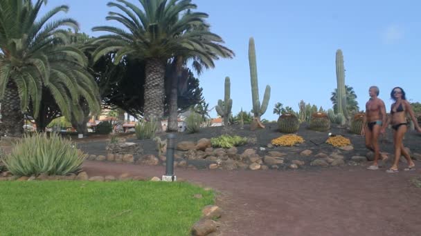 Pareja de vacaciones en trajes de baño caminando en un jardín tropical — Vídeo de stock