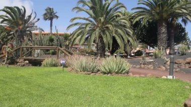 üzerinde mayo tropikal bahçede yürüyüş tatil couple