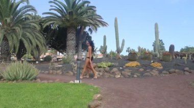 üzerinde mayo tropikal bahçede yürüyüş tatil couple
