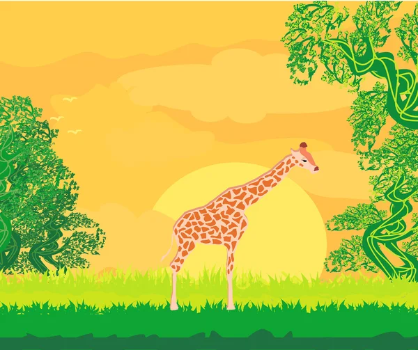 Girafa na paisagem da selva — Vetor de Stock