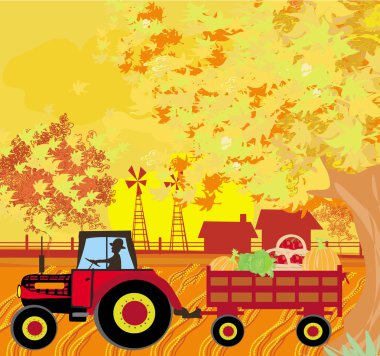 Sonbaharda sebze dolu bir treylerle traktör süren bir adam.