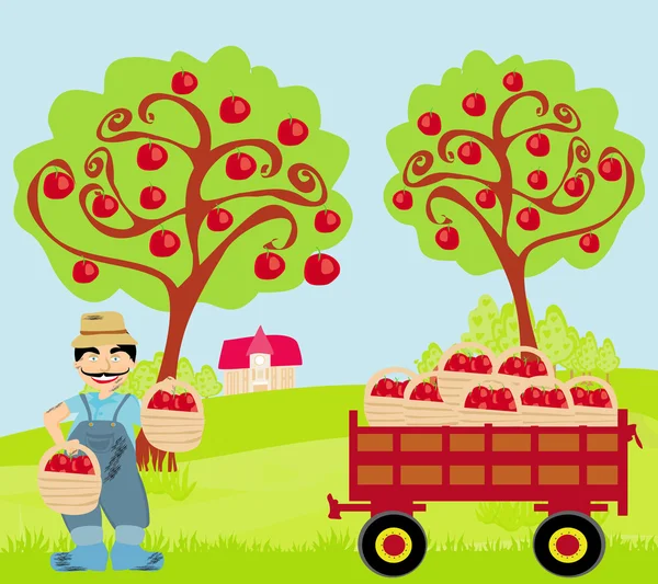 Agricoltore nel frutteto — Vettoriale Stock