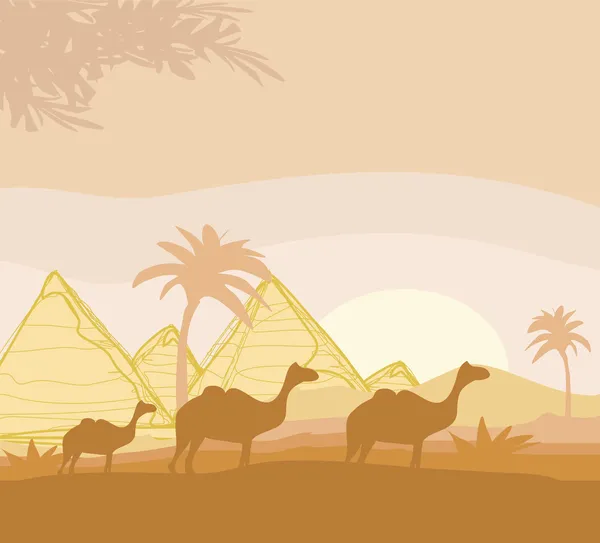 Caravana de camellos en África salvaje paisaje ilustración — Vector de stock