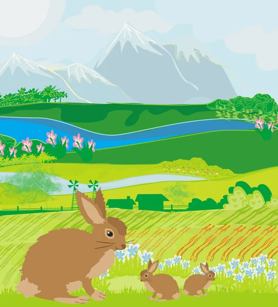 Bunnies in green meadow — Stock Vector