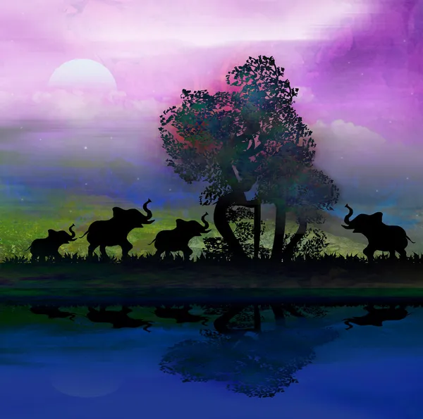 Silhouette of elephants in Africa theme setting with beautiful c — Stock Photo, Image