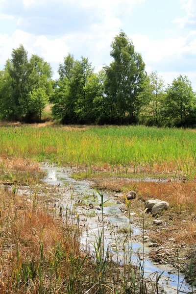 A small stream between fields — Stock Photo, Image