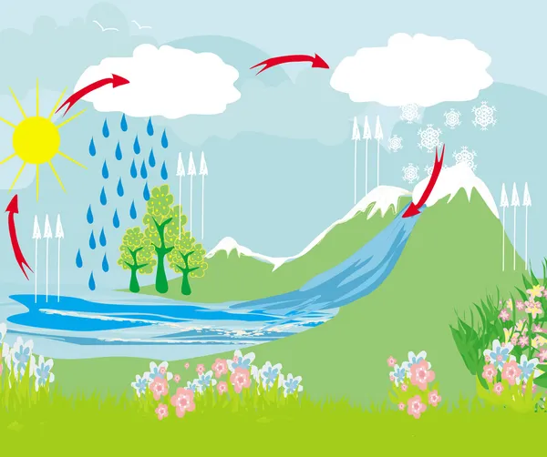 Cycle l'eau dans l'environnement naturel — Image vectorielle