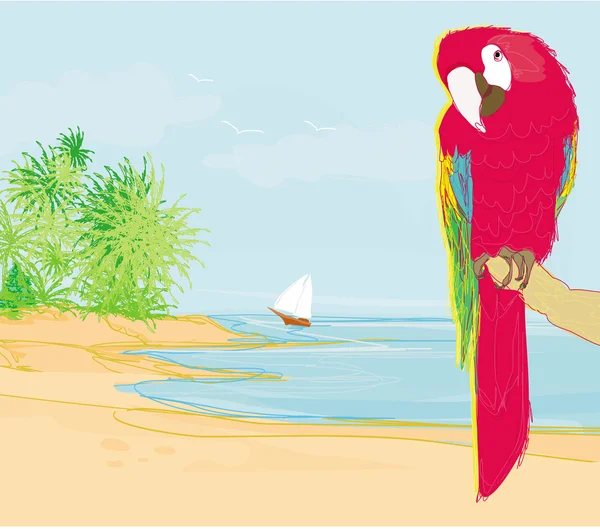 Pássaro de papagaio colorido sentado no poleiro na praia — Vetor de Stock