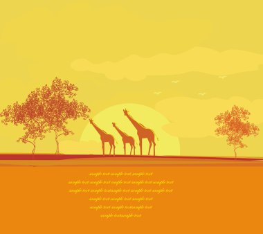 Afrika faunası ve florası olan grunge geçmişi 