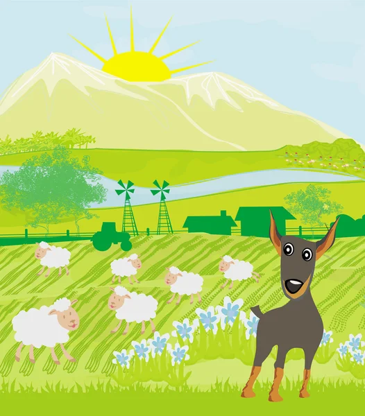 Koyunlar ve köpek — Stok Vektör