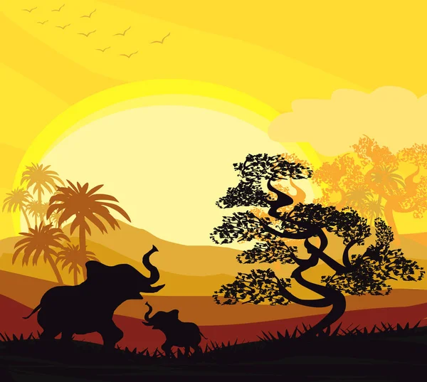 Cartoon African Savannah Card Poster Elefanti Durante Tramonto — Vettoriale Stock