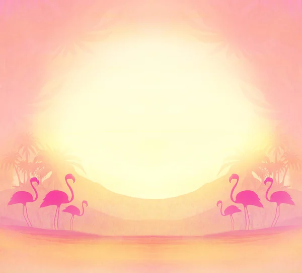 Flamants Roses Dans Nature Sauvage Paysage Pendant Coucher Soleil Illustration — Photo