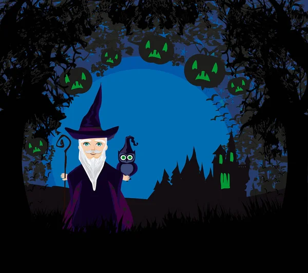 Cartoon Wizard Owl Halloween Night — Stockový vektor