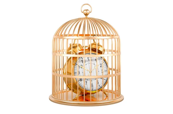 Cage Oiseaux Avec Réveil Intérieur Rendu Isolé Sur Fond Blanc — Photo