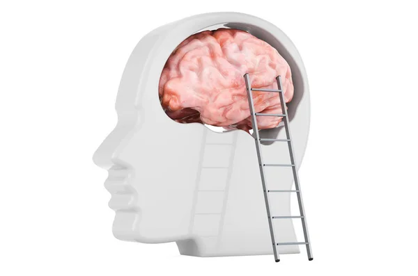 Cabeza Con Cerebro Escalera Representación Aislada Sobre Fondo Blanco —  Fotos de Stock