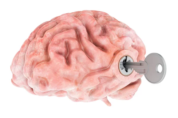 Cerebro Humano Con Llave Concepto Investigación Diagnóstico Representación Aislada Sobre — Foto de Stock