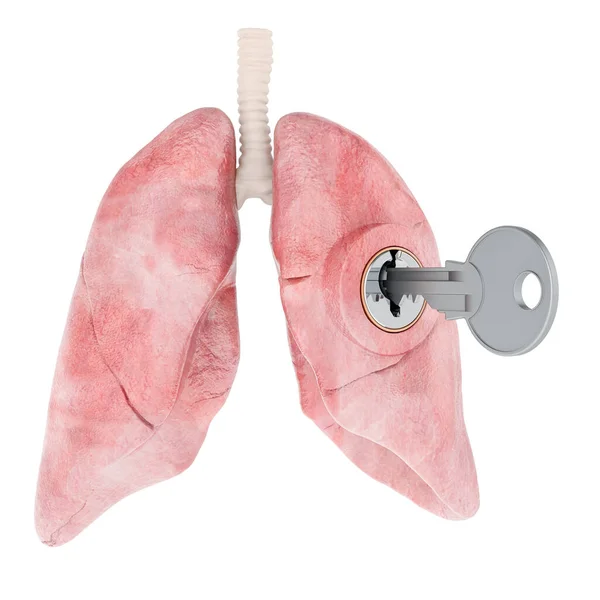 Ludzkie Płuca Kluczem Koncepcja Badań Diagnostyki Rendering Izolowany Białym Tle — Zdjęcie stockowe