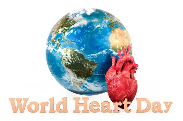 Сердце Земным Глобусом Всемирный День Сердца Концепция Рендеринг Изолирован Белом — стоковое фото