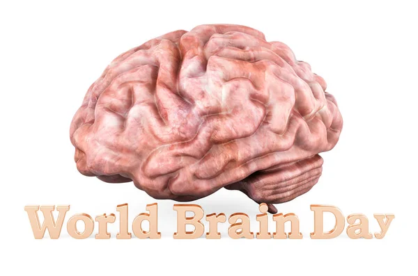 Всемирный День Мозга Концепция Рендеринг Изолирован Белом Фоне — стоковое фото