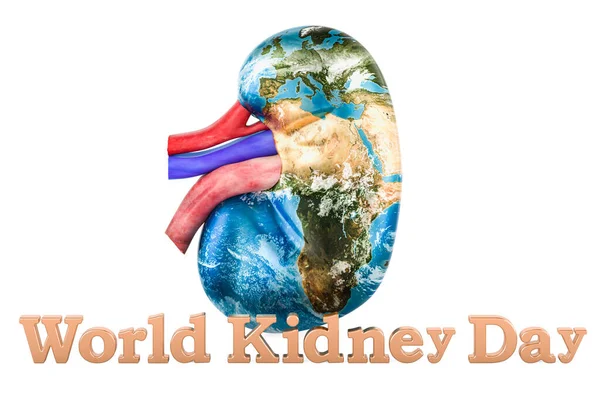 Human Kidney Earth Map Texture World Kidney Day Concept Rendering — стоковое фото