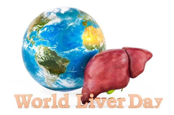 Human Liver Earth Globe World Liver Day Concept Rendering Isolated — стоковое фото